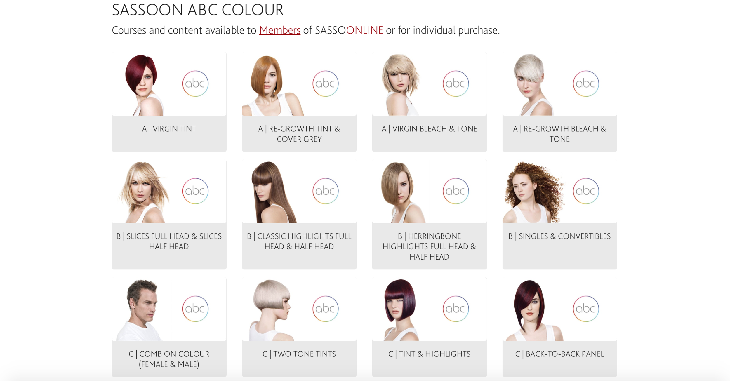 高知インター店】 ヴィダルサスーン ABC hair Coloring DVD training